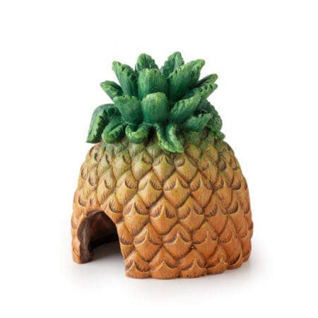 Exo Terra Pineapple Hide