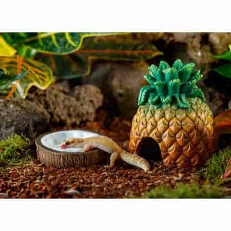 Exo Terra Pineapple Hide