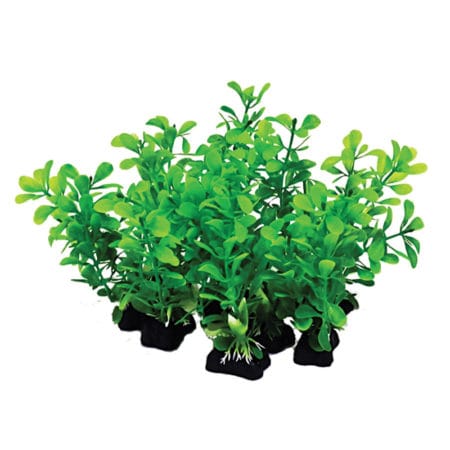 Aquatop Vera-Life Aquarium Plants - Green - 12 Pack