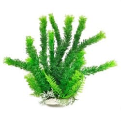 Aquatop Vera-Life Cabomba-Like Plant - 9inch - Green