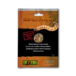 Superworms reptile food for large reptiles and insects, ideal for feeding lizards, geckos, and other.