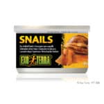 Exo Terra Canned Snails (House free) - 1.7 oz