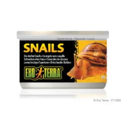 Exo Terra Canned Snails (House free) - 1.7 oz
