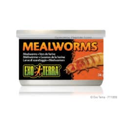 Exo Terra Canned Mealworms - 1.2 oz