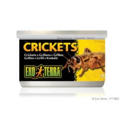 Exo Terra Canned Crickets - 1.2 oz