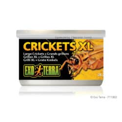 Exo Terra Canned Crickets - XL - 1.2 oz