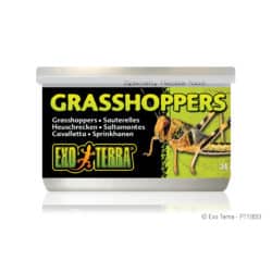 Exo Terra Canned Grasshoppers - 1.2 oz