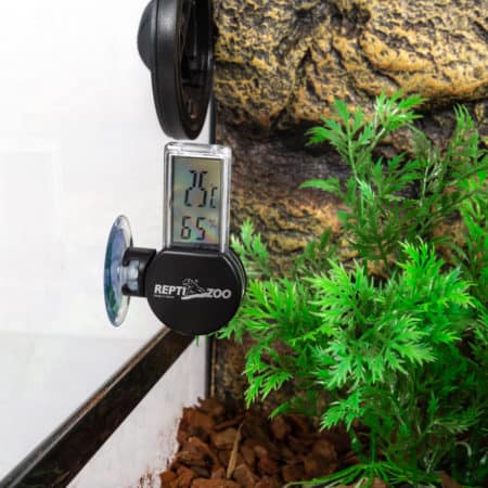 Reptizoo Digital Thermo-Hygrometer