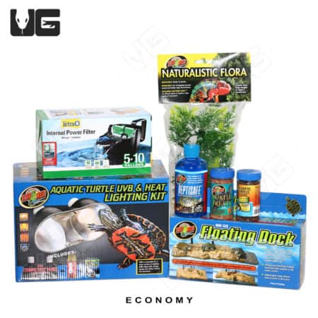 COMPLETE 10 Gallon Baby Aquatic Turtle Setup