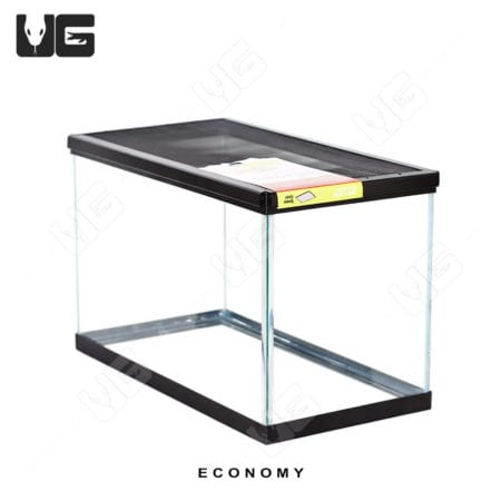 COMPLETE 10 Gallon Baby Aquatic Turtle Setup