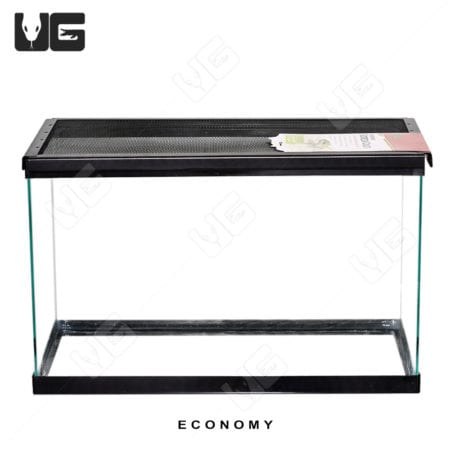 COMPLETE 10 Gallon Baby Aquatic Turtle Setup