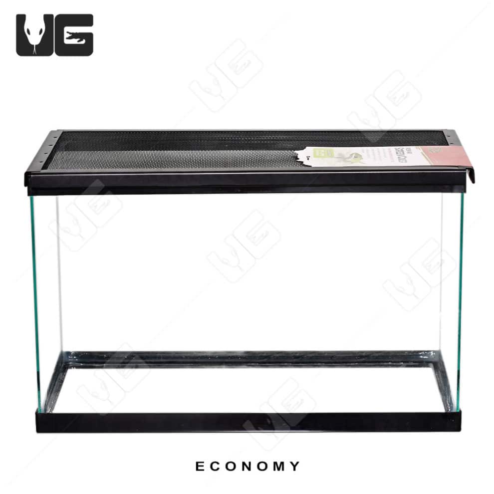 COMPLETE 10 Gallon Baby Aquatic Turtle Setup Underground Reptiles