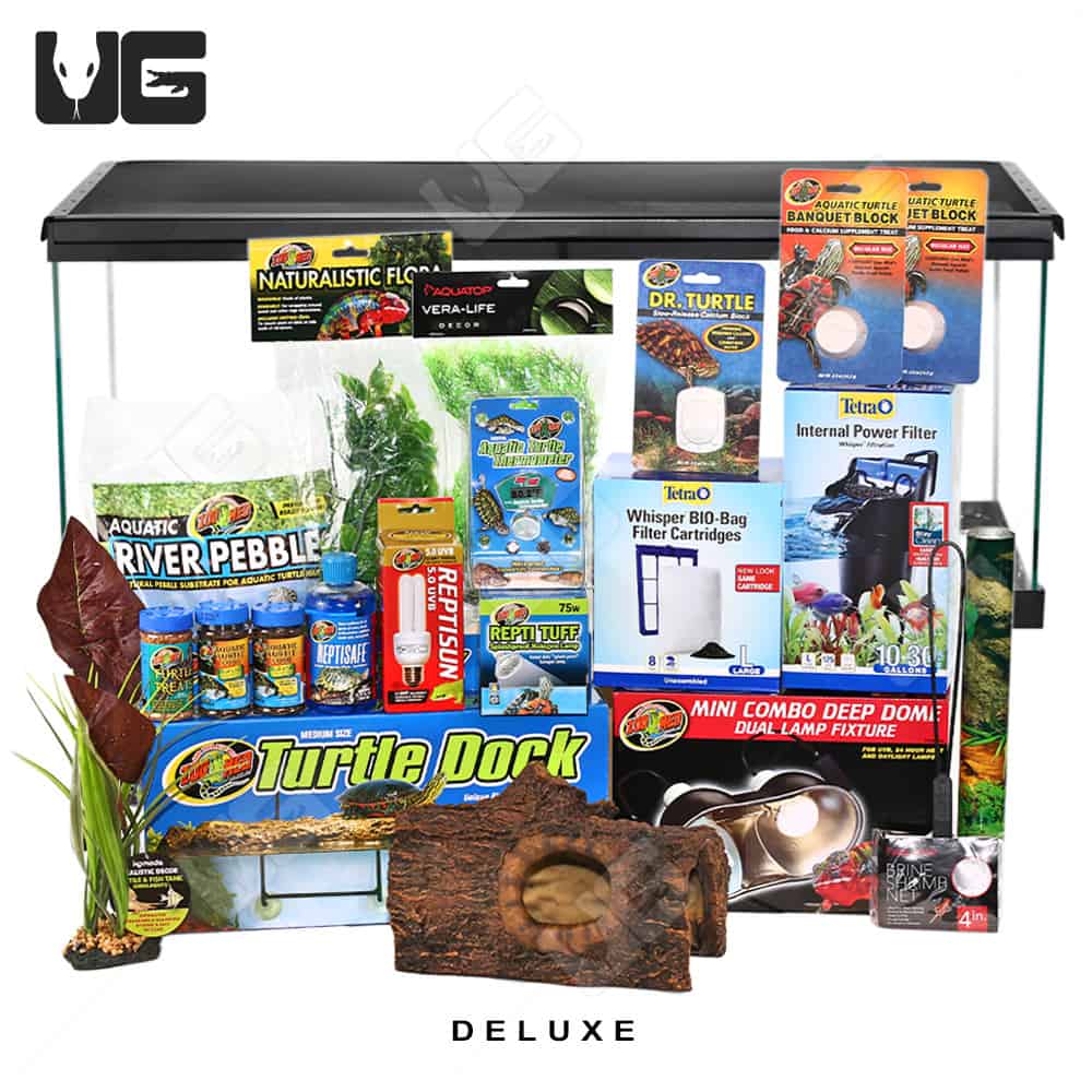 COMPLETE 20 Gallon Baby Aquatic Turtle Setup Underground Reptiles