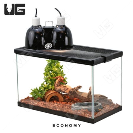 COMPLETE 10 Gallon Baby Corn/King/Milk/Rat Snake Setup