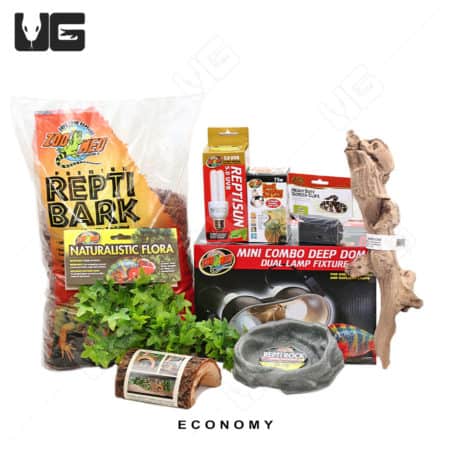 COMPLETE 10 Gallon Baby Corn/King/Milk/Rat Snake Setup