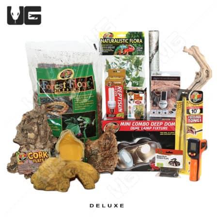 COMPLETE 10 Gallon Baby Corn/King/Milk/Rat Snake Setup