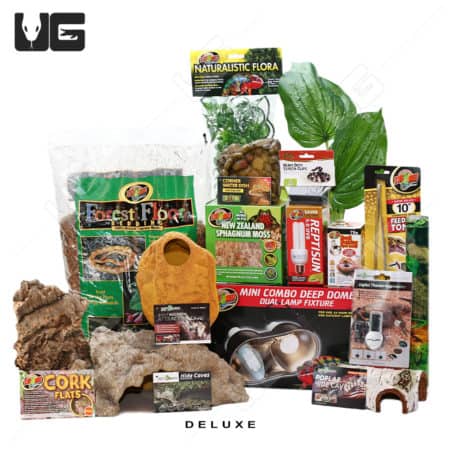 COMPLETE 20 Gallon Baby Corn/King/Milk/Rat Snake Setup