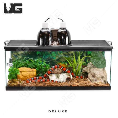 COMPLETE 20 Gallon Baby Corn/King/Milk/Rat Snake Setup
