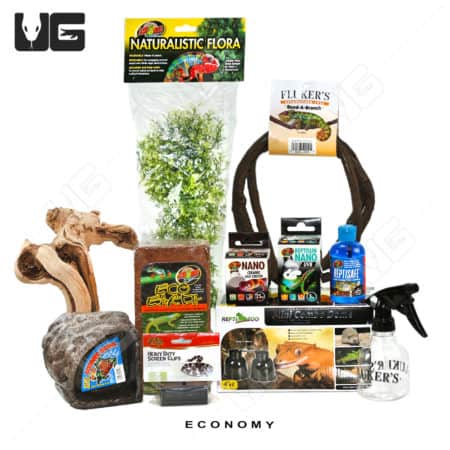 COMPLETE 20 Gallon Tree Frog Setup