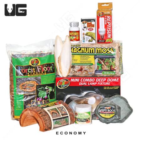 COMPLETE Baby Forest Tortoise Setup