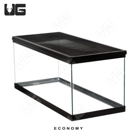 COMPLETE Baby Forest Tortoise Setup