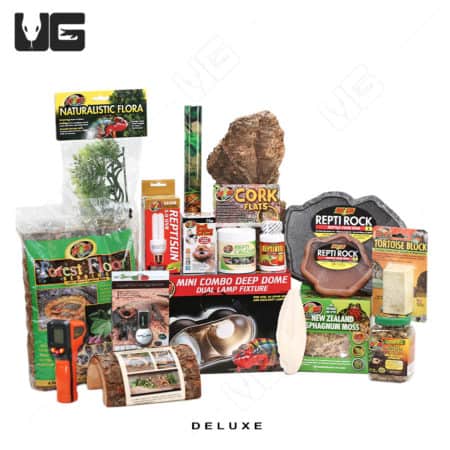 COMPLETE Baby Forest Tortoise Setup