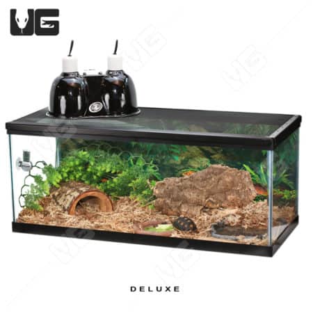 COMPLETE Baby Forest Tortoise Setup