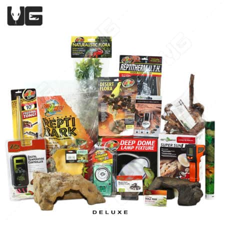 COMPLETE Baby Ball Python Setup