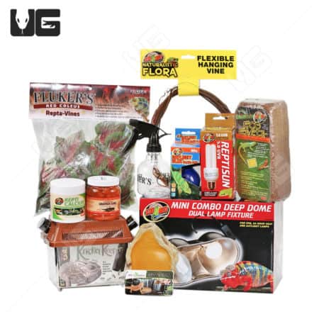 COMPLETE Chameleon Setup