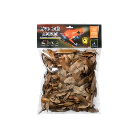 Galapagos Live Oak Leaves - 4 Qt