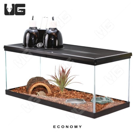 COMPLETE Baby Grassland Tortoise Setup