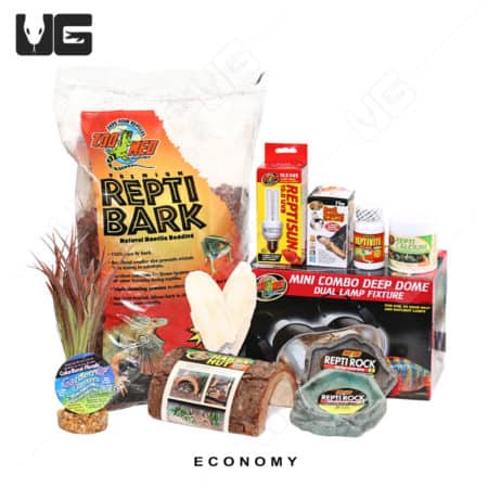 COMPLETE Baby Grassland Tortoise Setup