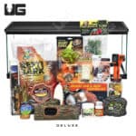 COMPLETE Baby Grassland Tortoise Setup