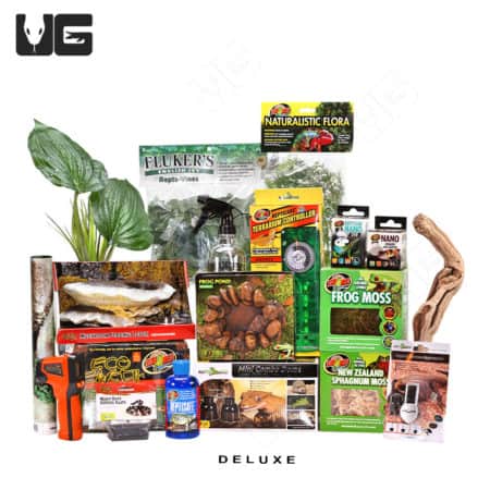 COMPLETE 10 Gallon Tree Frog Setup