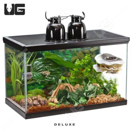 COMPLETE 10 Gallon Tree Frog Setup