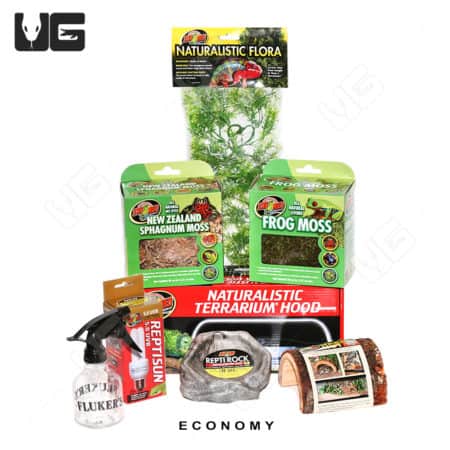 COMPLETE Dart Frog Setup