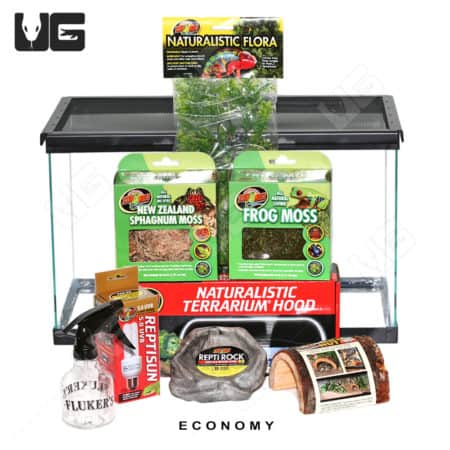 COMPLETE Dart Frog Setup