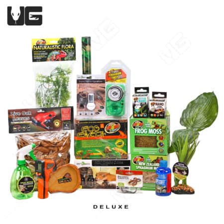 COMPLETE Dart Frog Setup