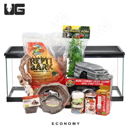 COMPLETE Baby Monitor Setup