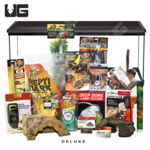 COMPLETE Baby Ball Python Setup - Underground Reptiles