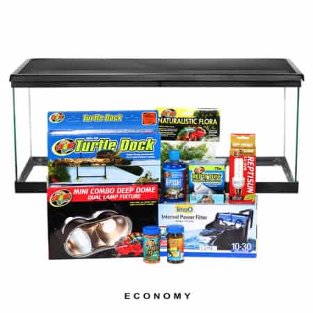 COMPLETE 20 Gallon Baby Aquatic Turtle Setup