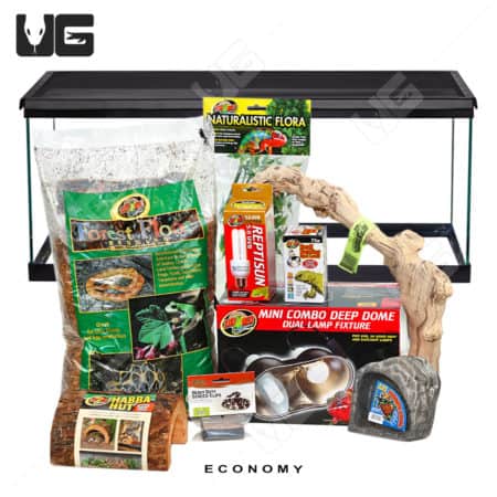 COMPLETE 20 Gallon Baby Corn/King/Milk/Rat Snake Setup