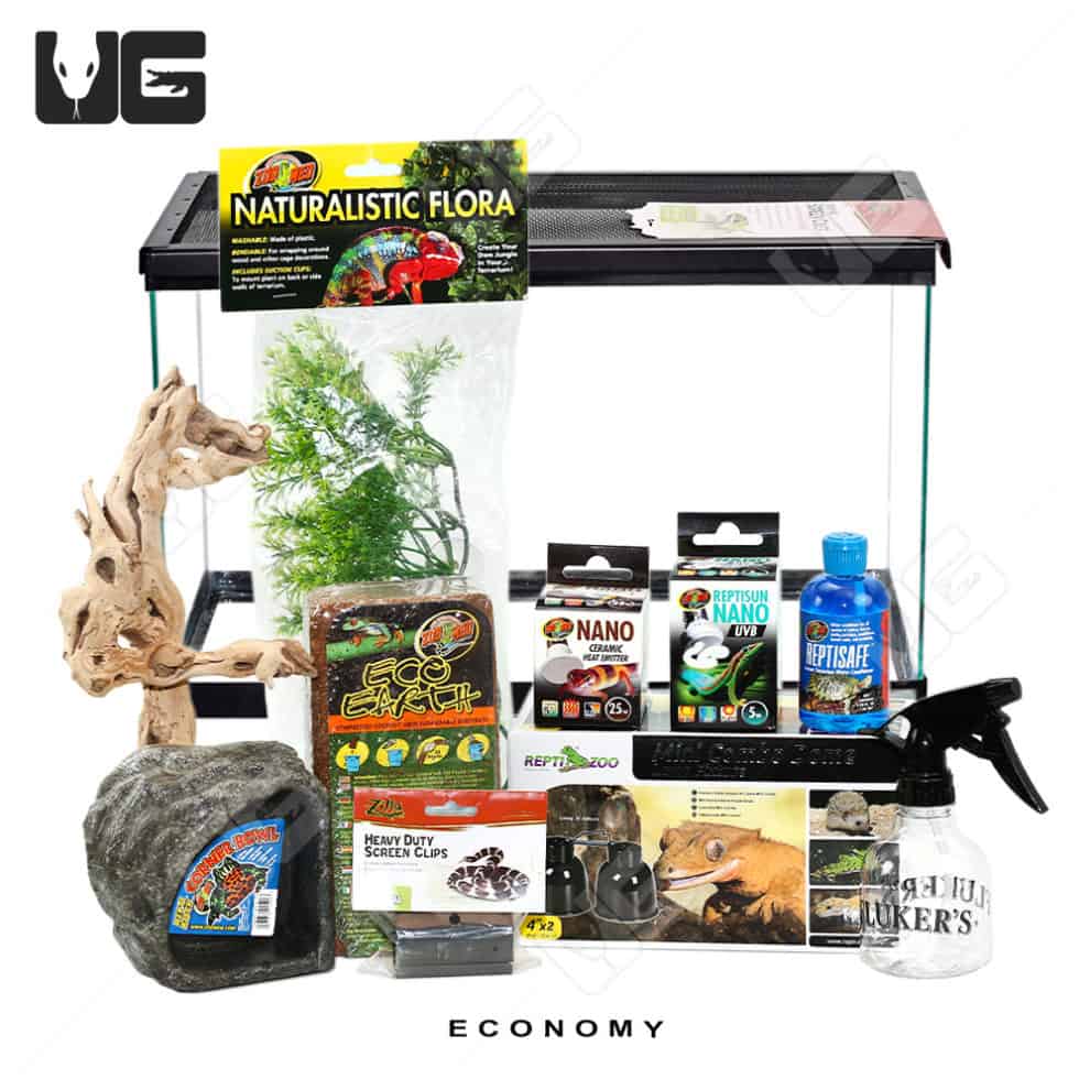 COMPLETE 10 Gallon Tree Frog Setup - Underground Reptiles