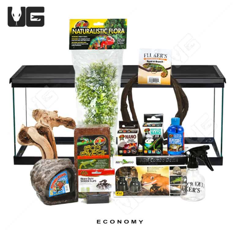 COMPLETE 20 Gallon Tree Frog Setup - Underground Reptiles