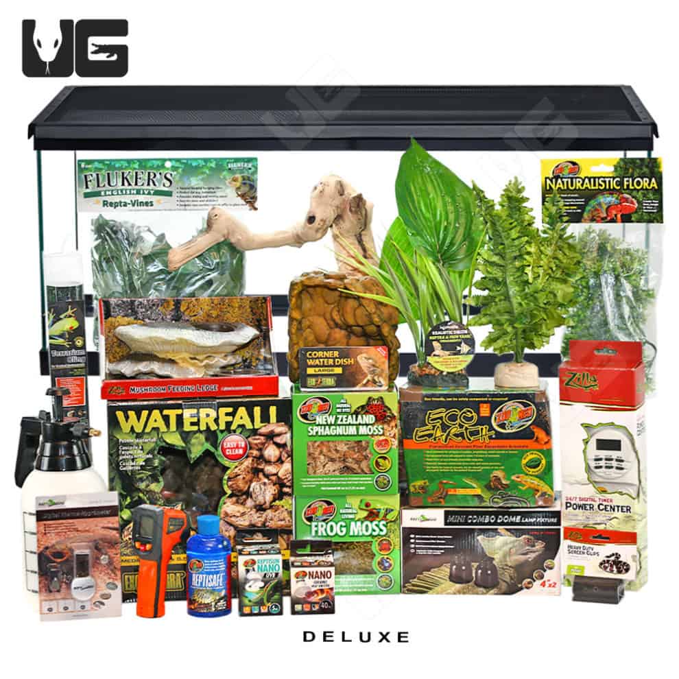 COMPLETE 20 Gallon Tree Frog Setup - Underground Reptiles