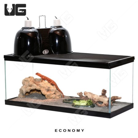 COMPLETE Uromastyx Setup