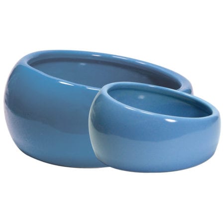 Living World Blue Ceramic Dish