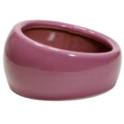 Living World Pink Ceramic Dish