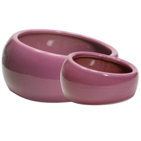 Living World Pink Ceramic Dish