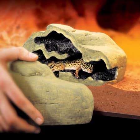Leopard gecko hiding inside a rock cave enclosure.